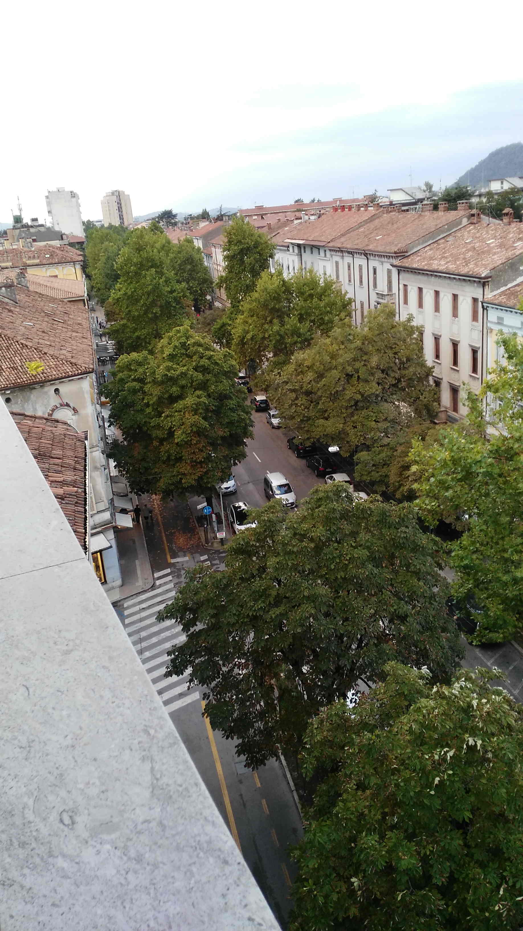 attico verde
